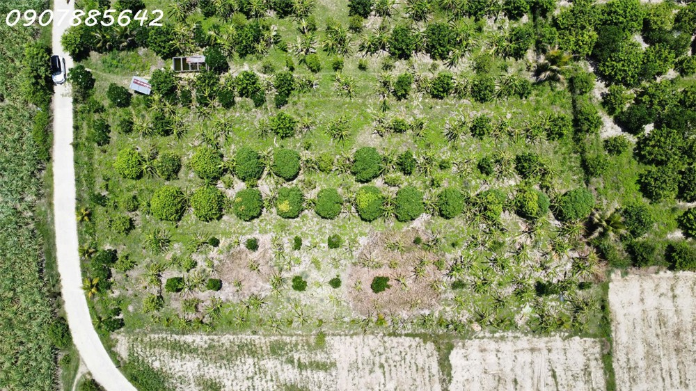 BÁN ĐẤT VƯỜN CHỈ 380 TRIỆU CHO 1.000 MÉT TẠI KHÁNH HOÀ