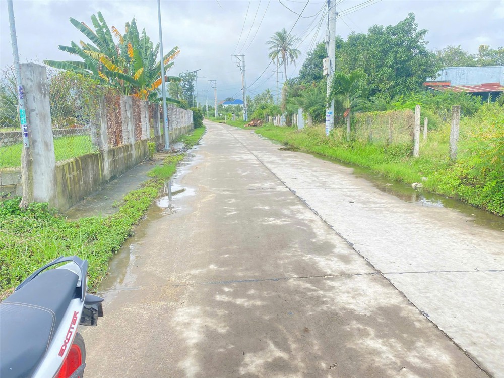 Đầu Tư Sinh Lời - Bán Lô Đất Mặt Tiền Đường Lê Thánh Tông, Bắc Cam Ranh, Khánh Hòa