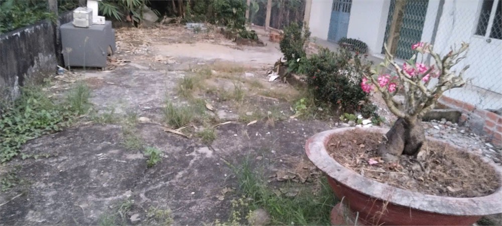 Chính Chủ Bán Nhanh – Đất Đẹp – Giá Tốt Tại Tân An – Long An