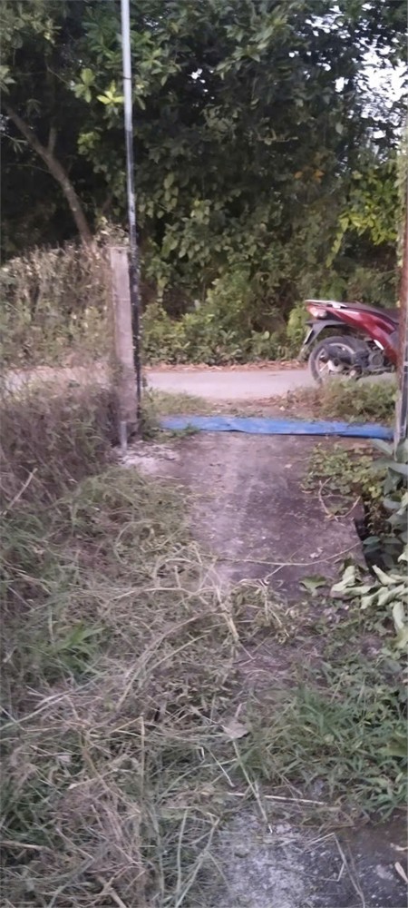 Chính Chủ Bán Nhanh – Đất Đẹp – Giá Tốt Tại Tân An – Long An