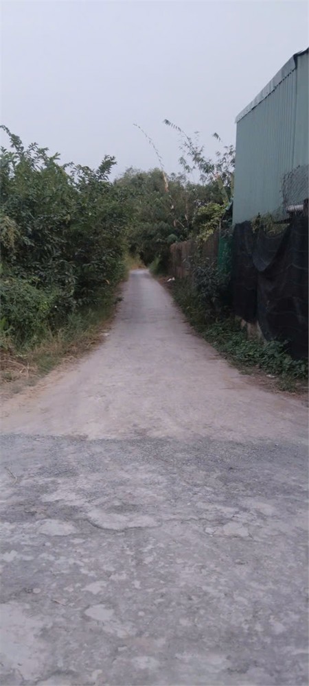 Chính Chủ Bán Nhanh – Đất Đẹp – Giá Tốt Tại Tân An – Long An