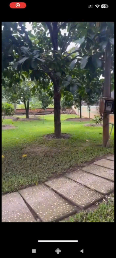 NHÀ VƯỜN (28x57) MẶT TIỀN ĐT8-1 – ĐÔNG THẠNH, HÓC MÔN (SÁT LÊ V KHƯƠNG)