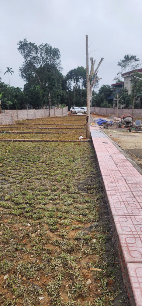 LÔ ĐẤT KIM BÔI – GIAI ĐOẠN 1 VỪA MỞ BÁN, THANH KHOẢN RẤT TỐT