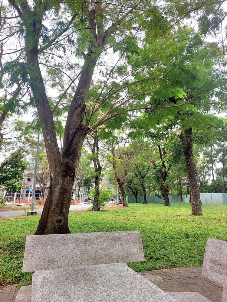 Nhà 2 Mặt Tiền Kinh Doanh Vip Đồng Văn Cống- Đường 47,Ngay Đảo Kim Cương Bình Trưng Tây,Q2