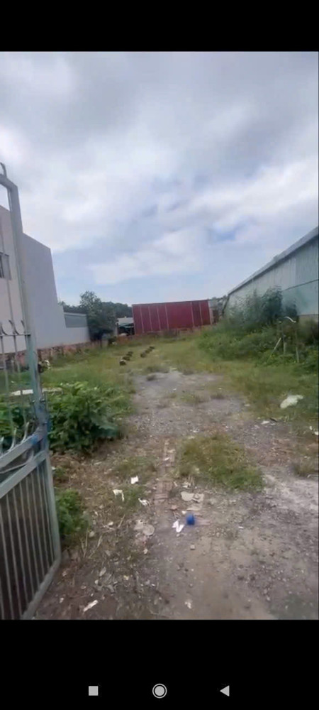 ĐẤT MẶT TIỀN ĐƯỜNG NHỰA DT 7-4 – ĐÔNG THẠNH, HÓC MÔN – THỔ CƯ LỚN