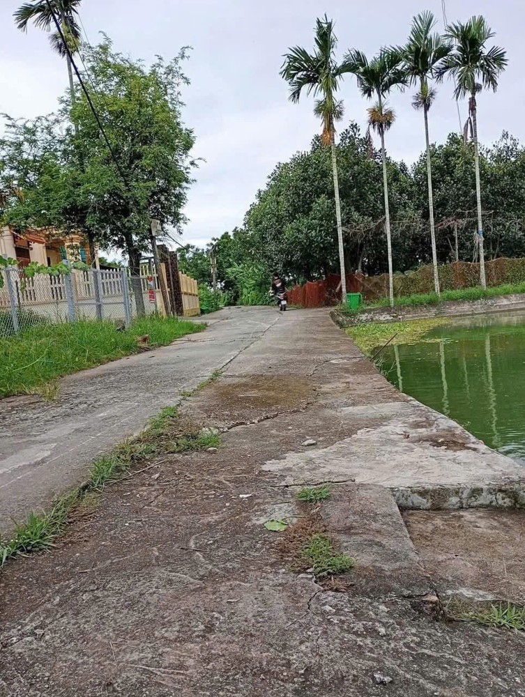 BÁN ĐẤT HỮU BẰNG KIẾN THỤY 56,2M2 – NGÕ Ô TÔ – GIÁ RẺ TẦM TIỀN  ZALO 0567 222 555