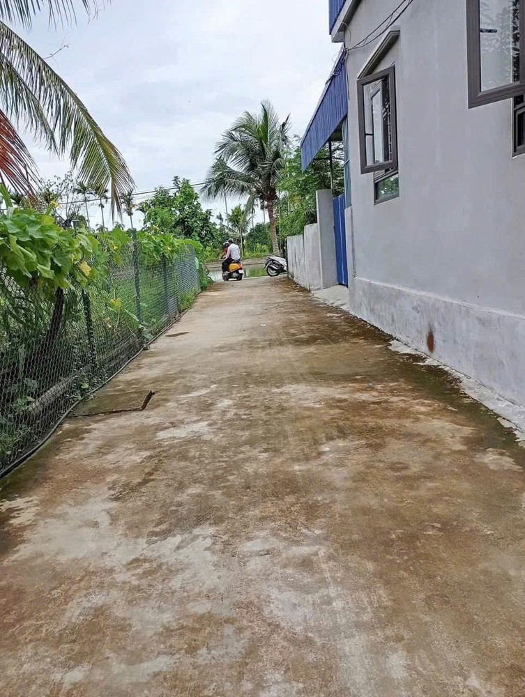 BÁN ĐẤT HỮU BẰNG KIẾN THỤY 56,2M2 – NGÕ Ô TÔ – GIÁ RẺ TẦM TIỀN  ZALO 0567 222 555