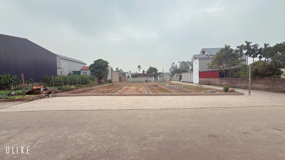 +

TỔNG 8 LÔ FO ĐƯỜNG THÔNG RỘNG 11M  5 LÀN Ô TÔ TRÁNH NHAU  

CAM KÊT HOA HẬU ĐẸP NHẤT THĂNG