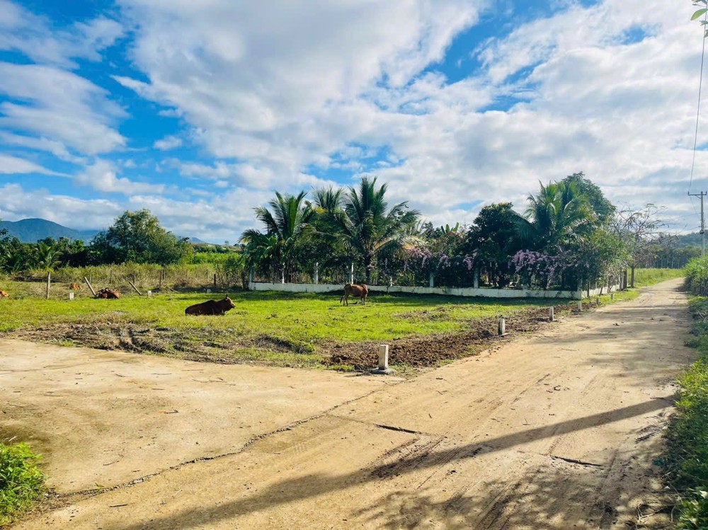 🔥 MỞ BÁN 6 LÔ ĐẤT FULL THỔ – SÔNG CẦU, KHÁNH VĨNH 🔥