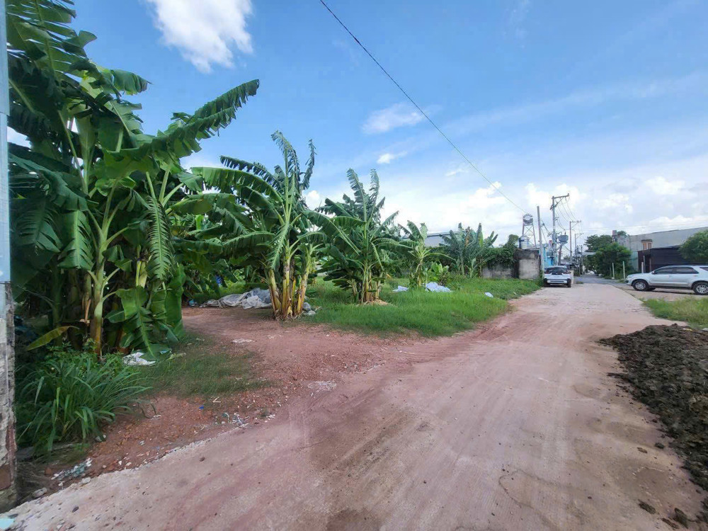 ĐẤT VƯỜN SIÊU ĐẸP (30X52) – GẦN CHỢ ĐẦU MỐI HÓC MÔN – 19,5 TỶ