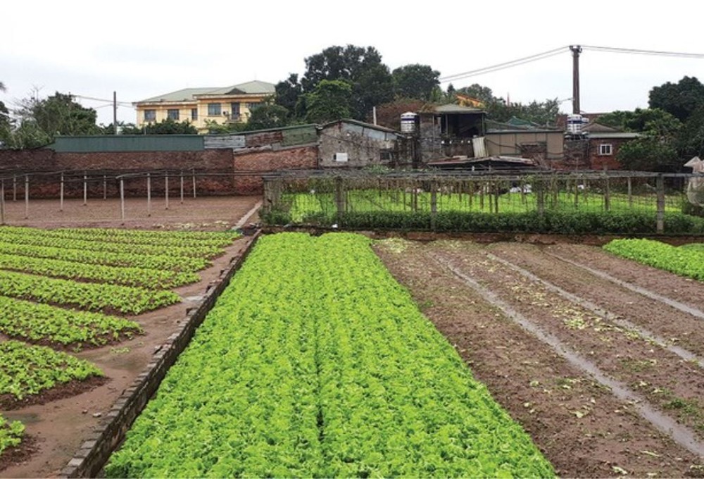 Bán Đất Nông Nghiệp Sài Sơn - Quốc Oai - Dt 256M2 - Mt 7M - Đường Ô Tô Vào- Gần Đường Qh 40M