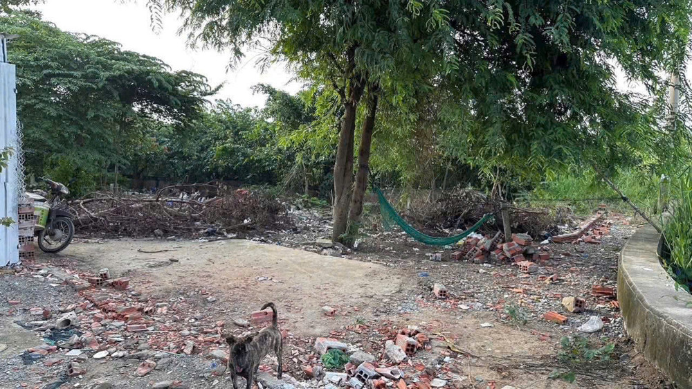 Bán Đất An Phú Đông 26 – Thổ Cư 632M² Giá Tốt Đầu Tư