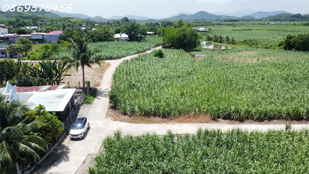Bất Động Sản Khánh Hoà Cần Bán Lô Đất Vườn