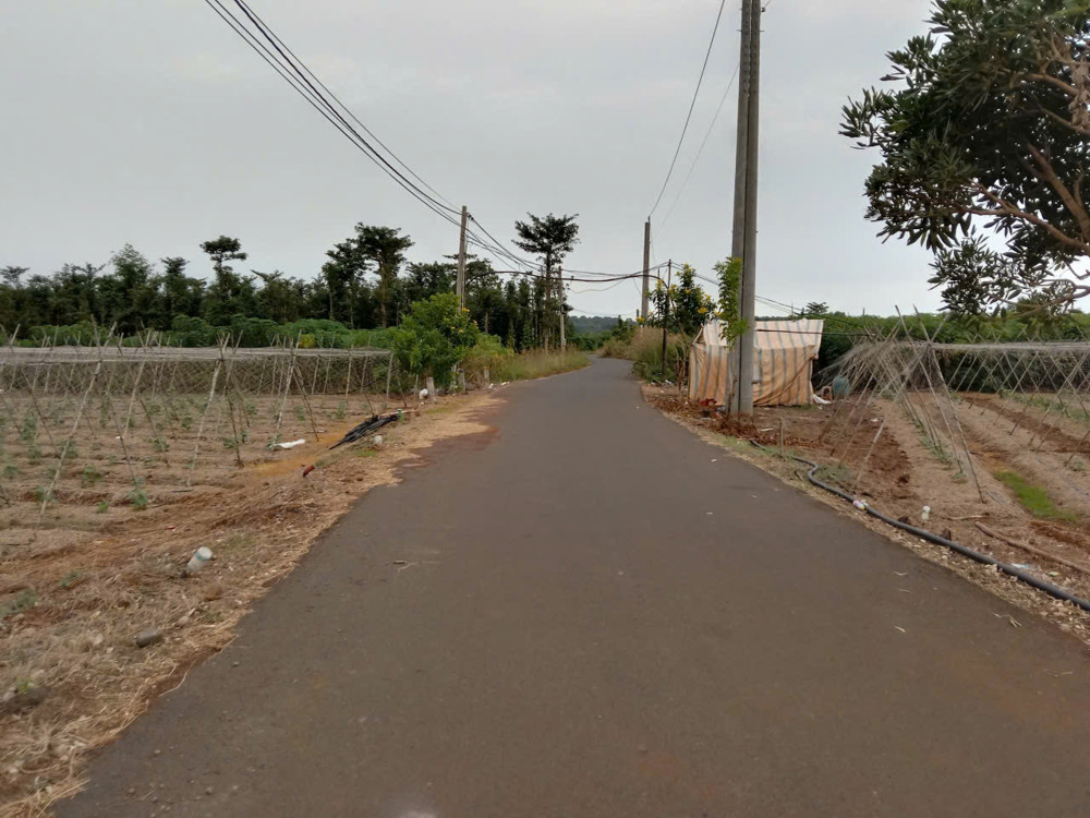 Cần Bán Lô Đất Chính Chủ. Thuộc Xã Đa Bạc. Đường Nhựa Sát Dân. Dt. 4Sao2 Giá 3T2 Hết Sổ