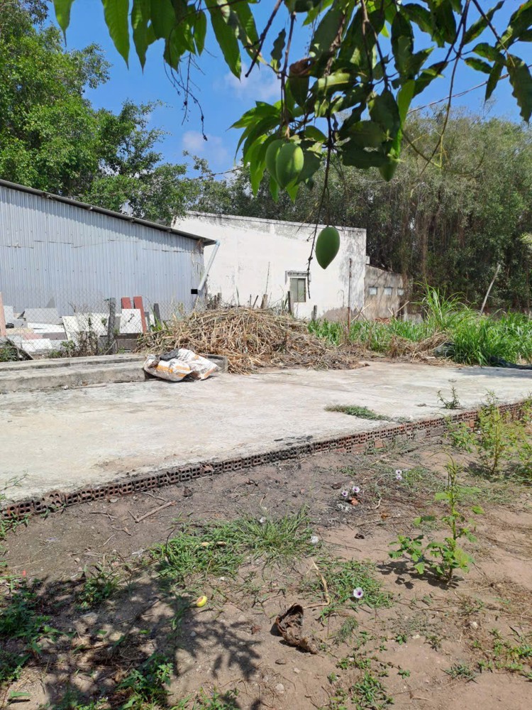 Đầu Tư Sinh Lời - Chính Chủ Bán Lô Đất Mặt Tiền Đường Ql 57 Xã Đại Điền, Thạnh Phú, Bến Tre