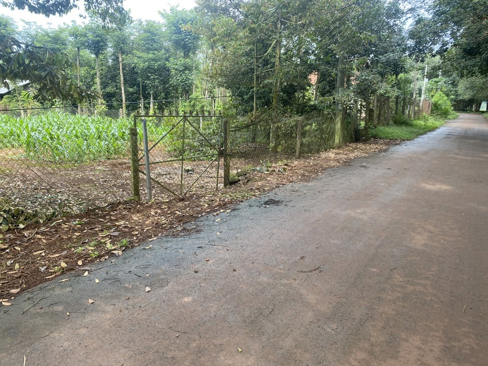 Đất Chính Chủ - Giá Tốt Địa Chỉ Xã Xà Bang, Huyện Châu Đức, Tỉnh Bà Rịa Vũng Tàu