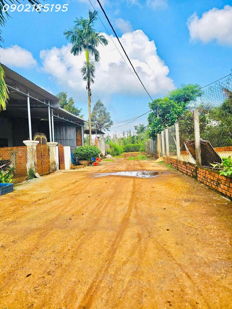 Lô Đất Sổ Đỏ Thổ Cư – Phường Tân Lợi – Buôn Ma Thuột, Cách Trường Đại Học Y Dược Buôn Ma Thuột 4 Km