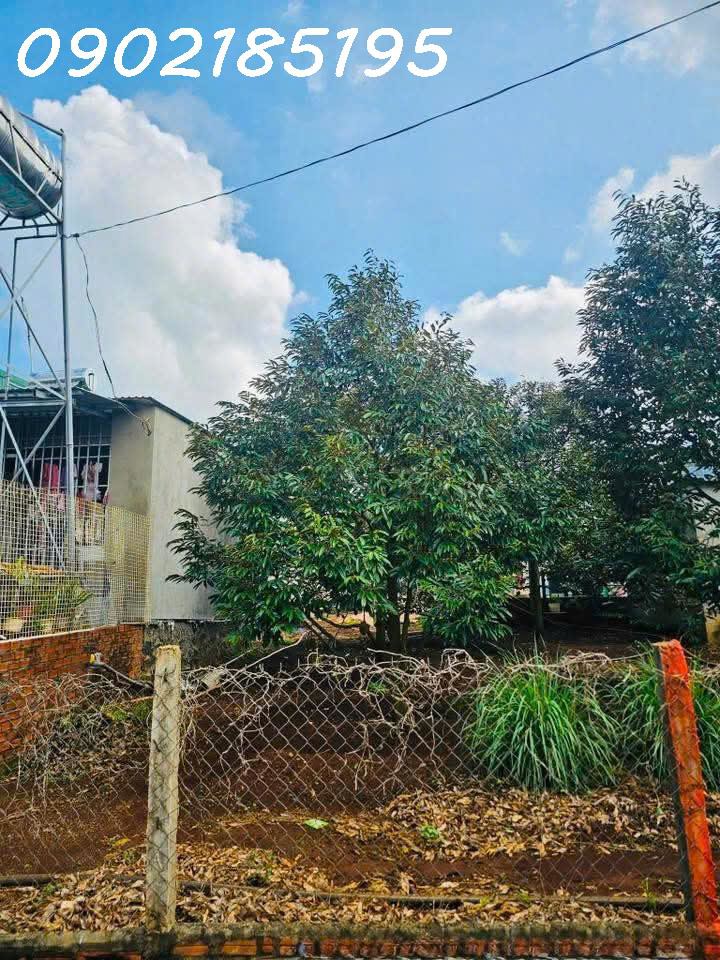 Lô Đất Sổ Đỏ Thổ Cư – Phường Tân Lợi – Buôn Ma Thuột, Cách Trường Đại Học Y Dược Buôn Ma Thuột 4 Km