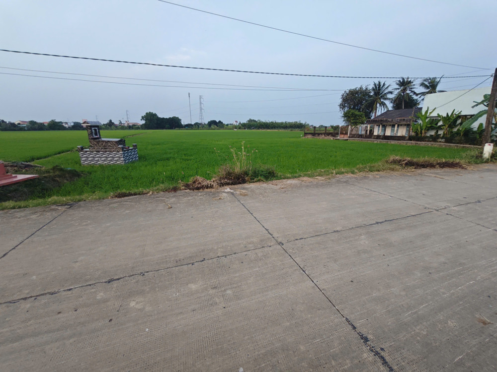 Bán Lô Đất Lúa Chuyển Thổ Đường Bê Tông 6M Giá 1,55 Tỷ