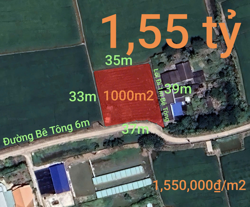 Bán Lô Đất Lúa Chuyển Thổ Đường Bê Tông 6M Giá 1,55 Tỷ