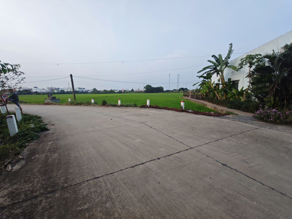 Bán Lô Đất Lúa Chuyển Thổ Đường Bê Tông 6M Giá 1,55 Tỷ