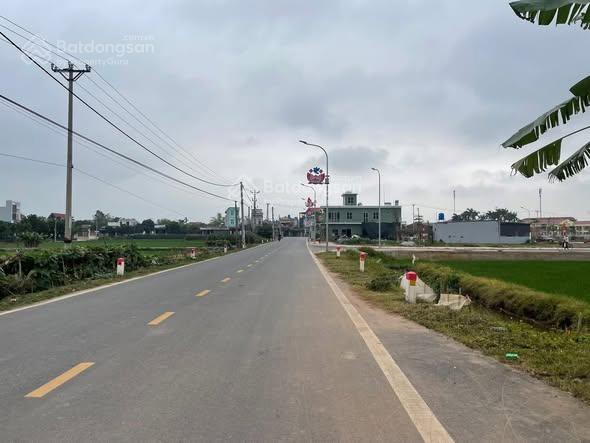 Bán Đất Mặt Đường Trục Xã Quỳnh Mỹ (Nay Thuộc Quỳnh Phụ) Vị Trí Kinh Doanh Tốt