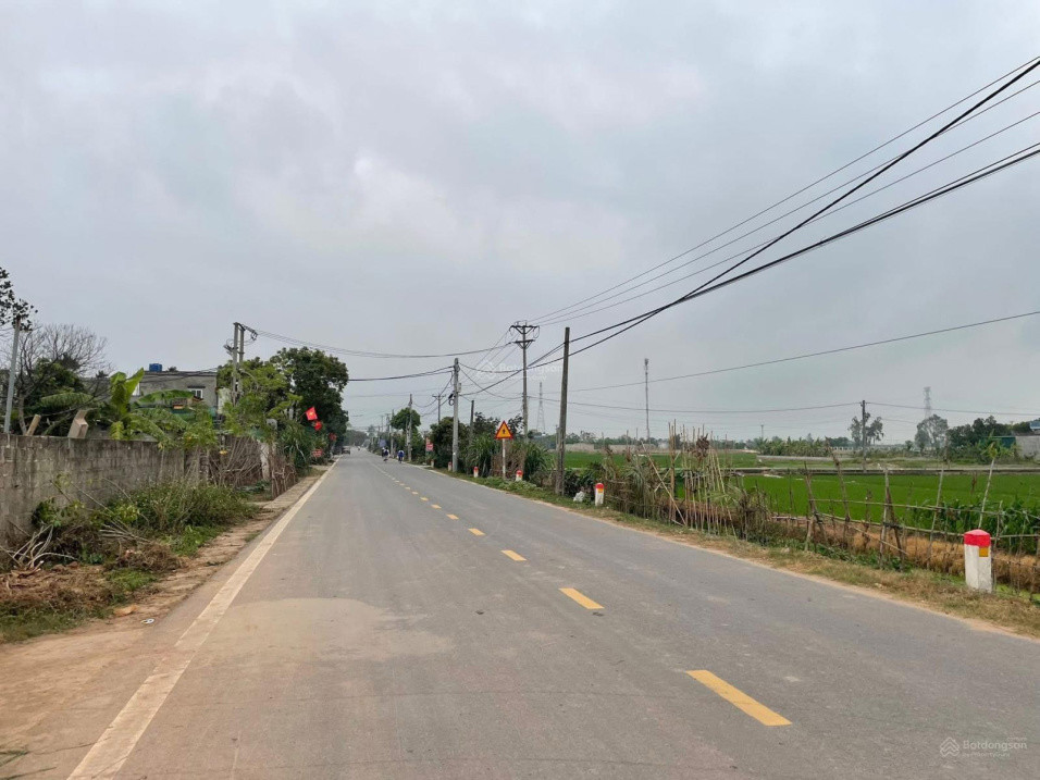 Bán Đất Mặt Đường Trục Xã Quỳnh Mỹ (Nay Thuộc Quỳnh Phụ) Vị Trí Kinh Doanh Tốt