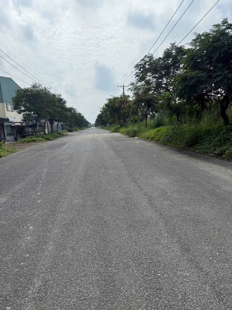 Đất Skc 7.000M² – Đường Container – Xây Xưởng Ngay Tại Hóc Môn