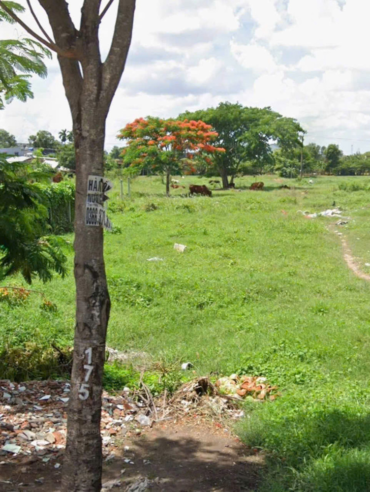 Mặt Tiền Bà Điểm 4 – Đối Diện Trường – Quy Hoạch Mở Rộng 30M