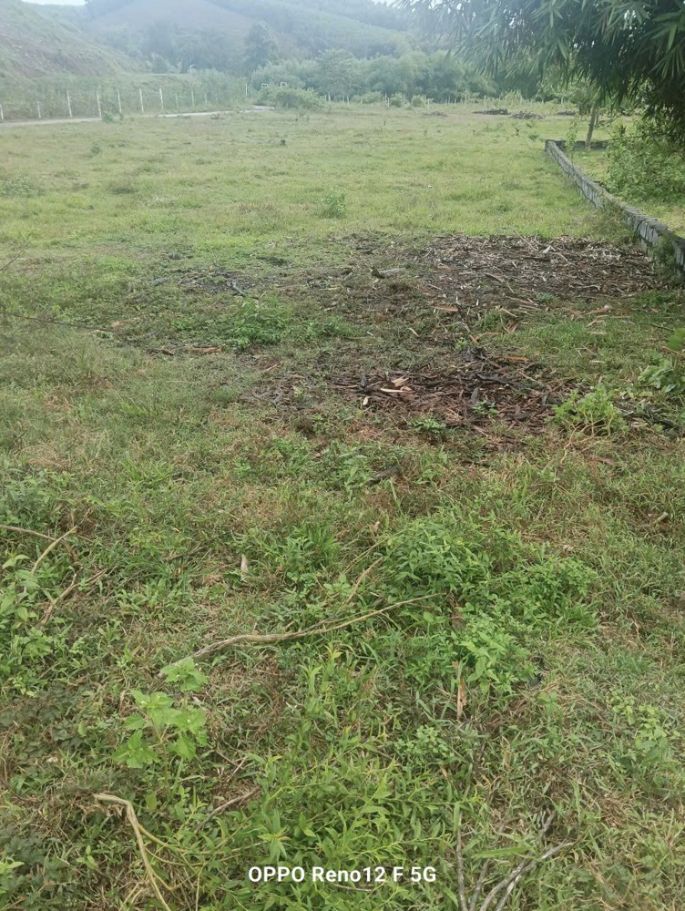 Đất Đẹp– Giá Tốt – Chính Chủ Cần Bán Nhanh Đất Tại Xã Khánh Đông, Khánh Vĩnh, Khánh Hòa