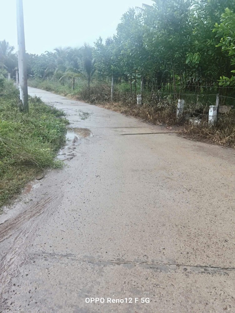 Đất Đẹp– Giá Tốt – Chính Chủ Cần Bán Nhanh Đất Tại Xã Khánh Đông, Khánh Vĩnh, Khánh Hòa