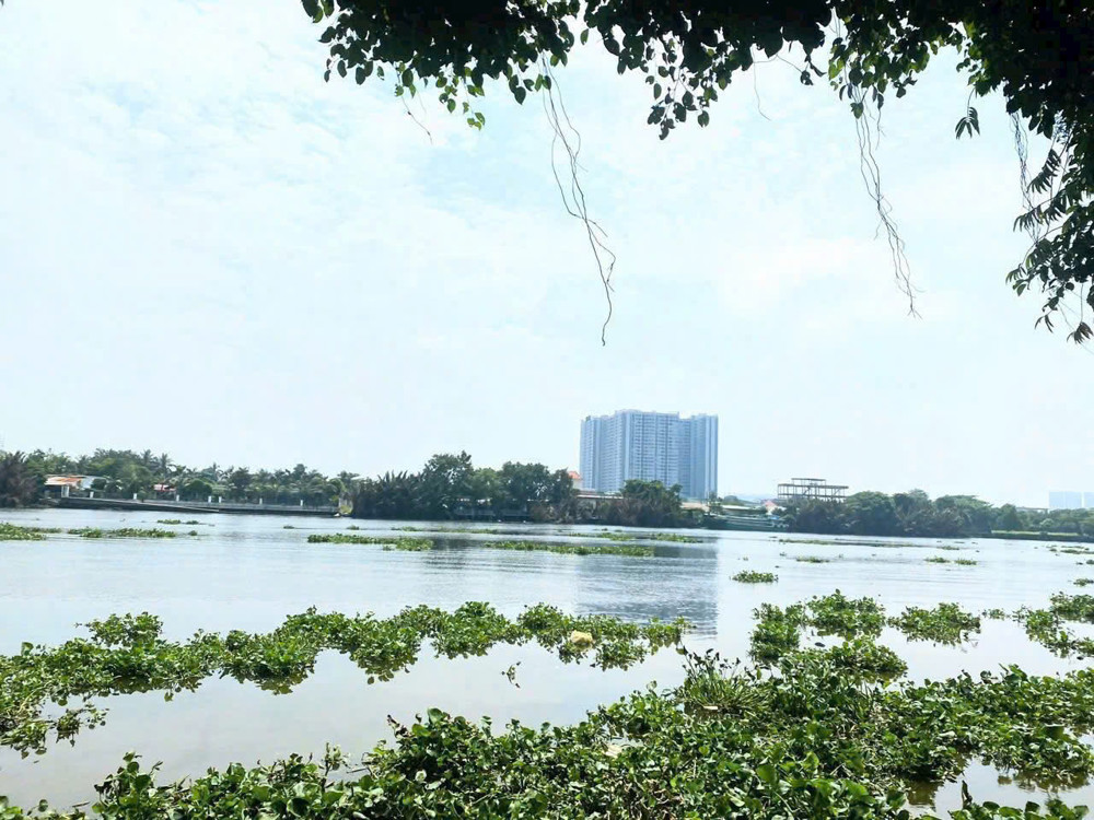 Siêu Phẩm 5.000M² – 2 Mặt Tiền Sông Sài Gòn Bình Mỹ – Giá Chỉ 6Tr/m²