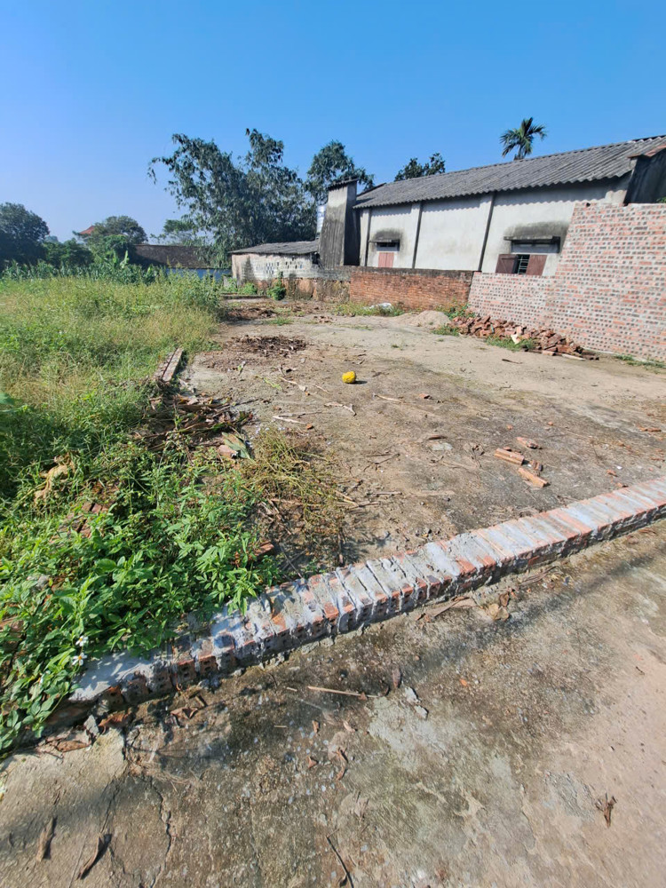 Bán Đất Câm Lĩnh, Ba Vì, Hà Nội-116M-Giá Chỉ 350 Triệu