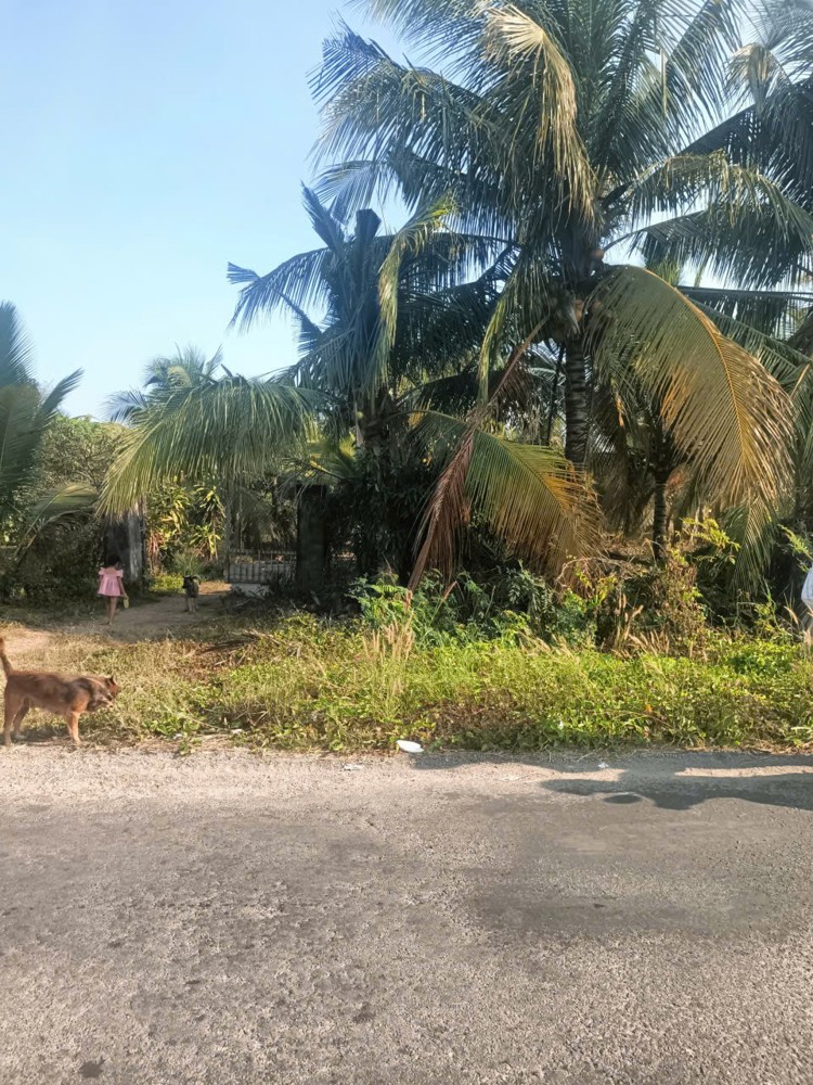 Nhà Vườn Đẹp – Giá Tốt –Chính Chủ Cần Bán Nhà Vườn Đường Võ Văn Tần,Tân Hải, Tx. La Gi, Bình Thuận