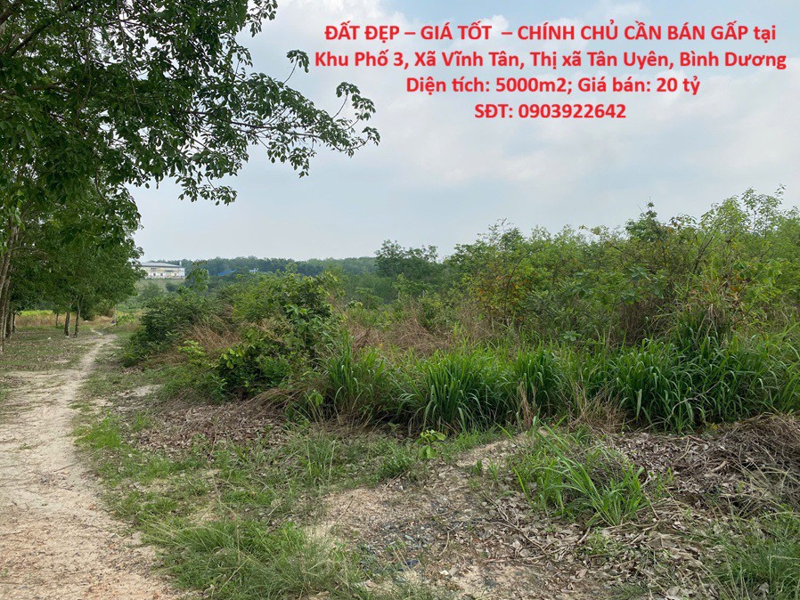 Đất Đẹp – Giá Tốt – Chính Chủ Cần Bán Gấp Tại Xã Vĩnh Tân, Thị Xã Tân Uyên, Bình Dương