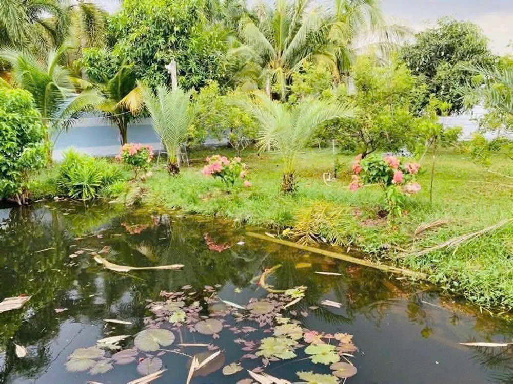 Quỹ Đất Lớn Trung Đông – Thới Tam Thôn, Hóc Môn – Giá Chỉ Từ 2.25 Tỷ