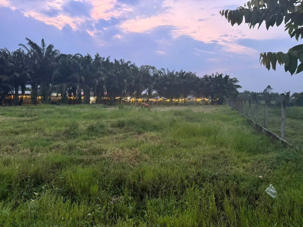 Đất 2 Mặt Tiền Võ Văn Điều, Trung Lập Thượng, Cc – 2.750M² – Chỉ 7,3Tr/m²