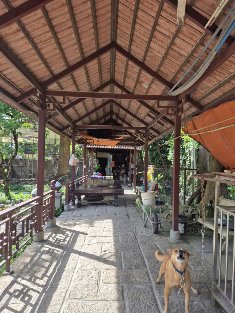 Biệt Thự Nhà Gỗ Sân Vườn 1.930M² – Lô Góc 2Mt – Không Gian Nghỉ Dưỡng Hiếm