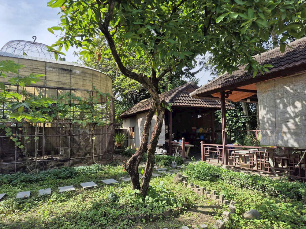 Biệt Thự Nhà Gỗ Sân Vườn 1.930M² – Lô Góc 2Mt – Không Gian Nghỉ Dưỡng Hiếm