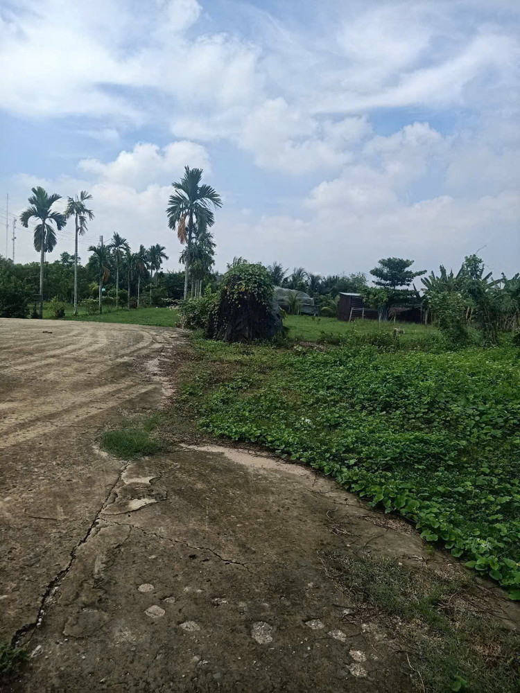 Nhà Vườn 6.400M² – 1.350M² Thổ Cư – Đường Xe Tải Xuân Thới Sơn, Hóc Môn