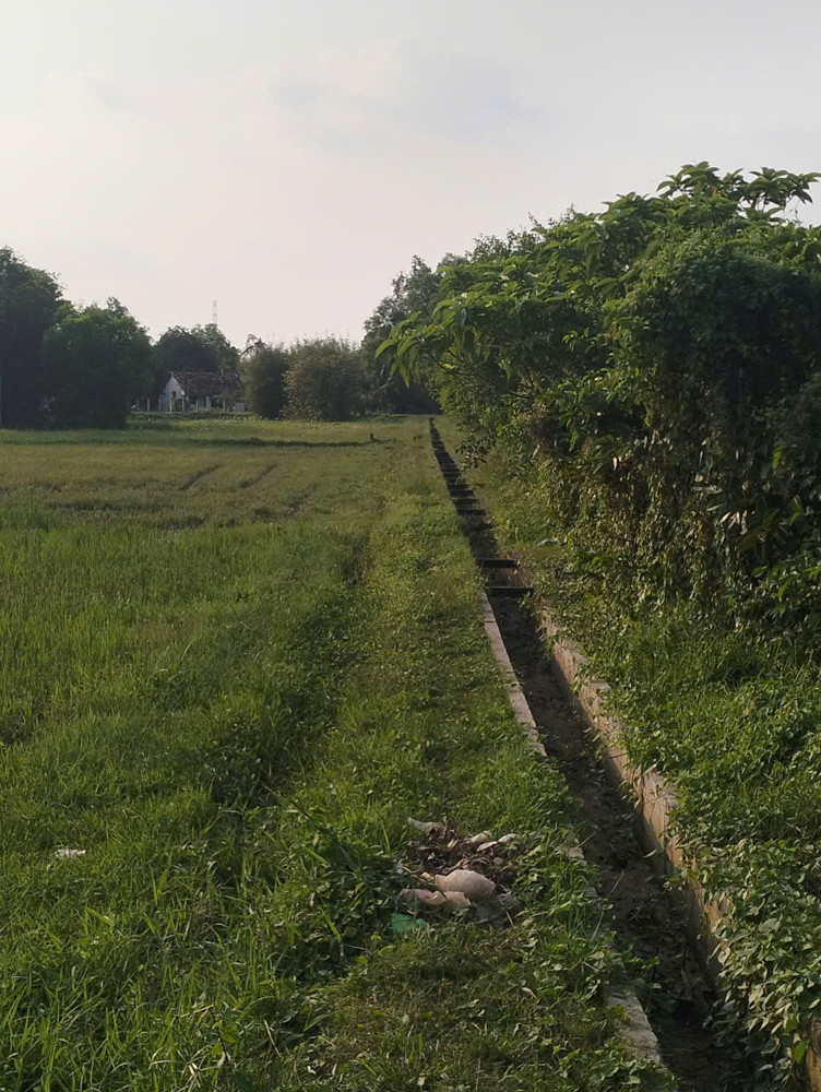 Bán Miếng Đất 5.074M2 - 2 Mặt Tiền – 5.074M² – Chỉ 17 Tỷ Tại Tân An Hội