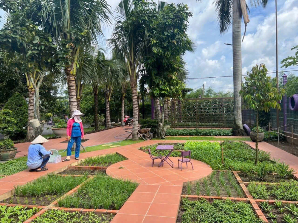 Bình Mỹ – “Nhà Vườn Màu Tím” 3.000M² Ngộp Ngân Hàng – Giảm Sốc 2 Tỷ