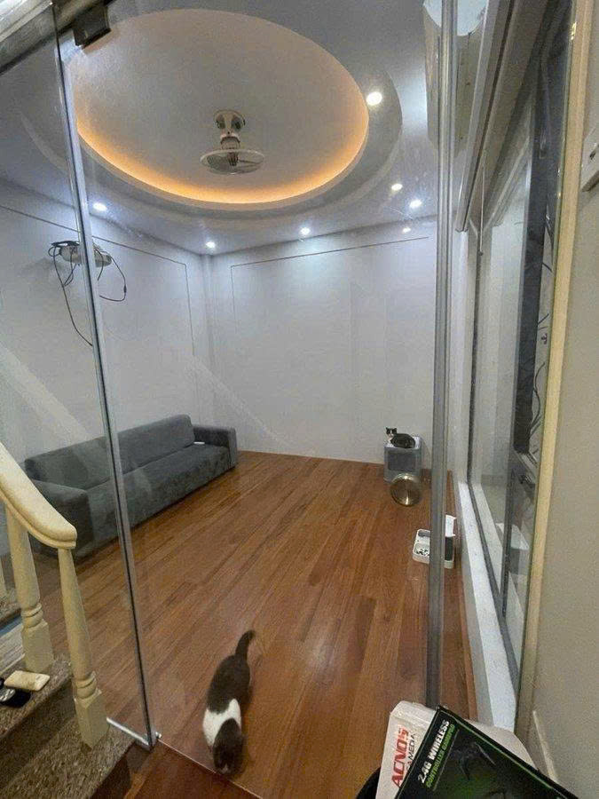 Căn Hộ Toạ Lạc Tại Mặt Phố Phạm Ngọc Thạch - Buôn Bán Kinh Doanh Sầm Uấthiện Cạnh Nhà Cho Thuê Mở