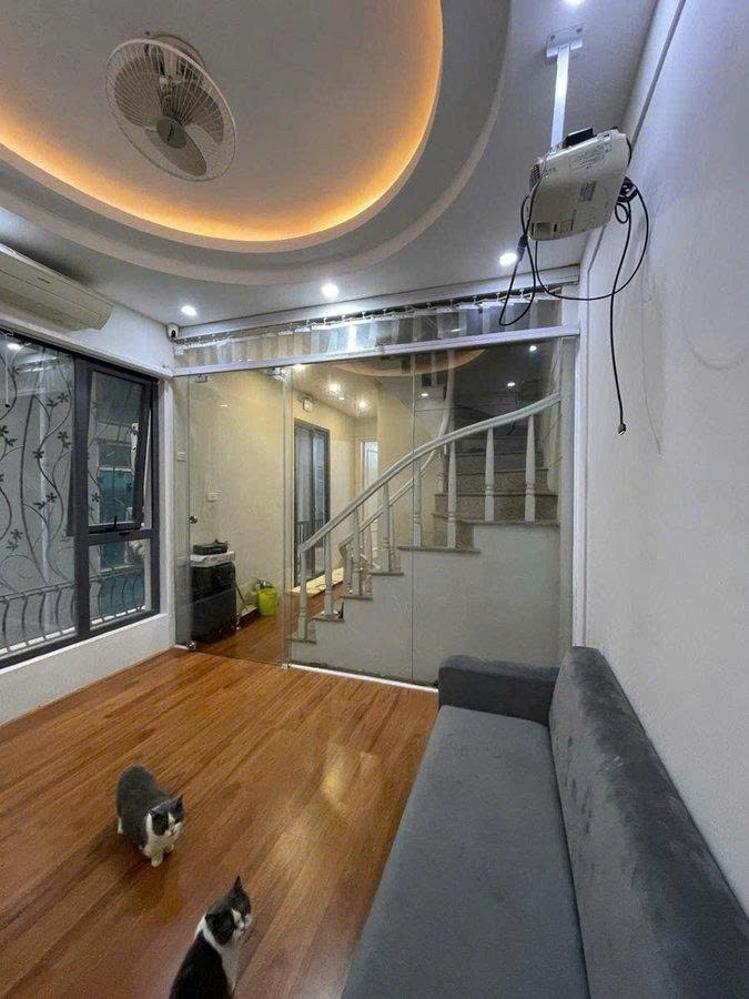 Căn Hộ Toạ Lạc Tại Mặt Phố Phạm Ngọc Thạch - Buôn Bán Kinh Doanh Sầm Uấthiện Cạnh Nhà Cho Thuê Mở