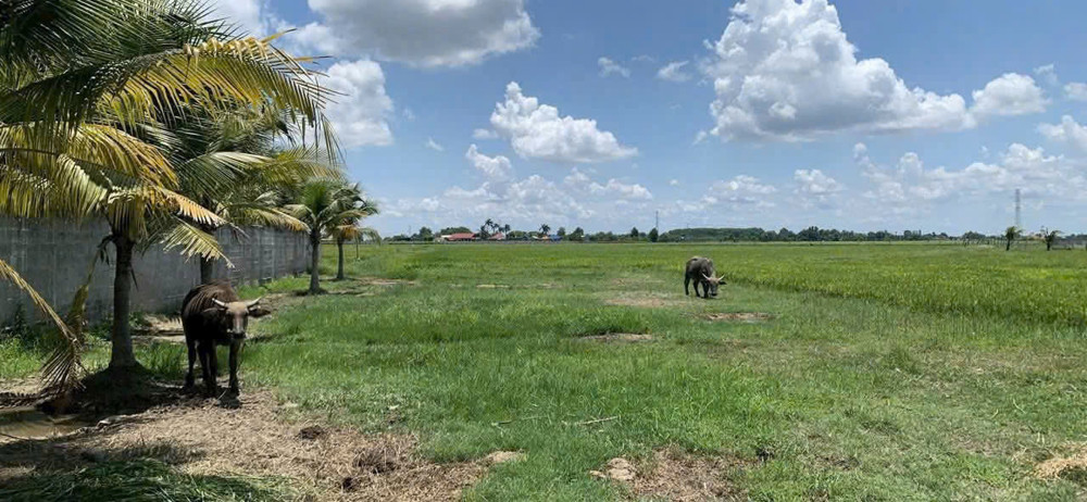 Quỹ Đất 2Ha Mặt Tiền Tỉnh Lộ 7 – Sát Ql22 – Giá Chỉ 2Tr/m² Vị Trí Siêu Đẹp