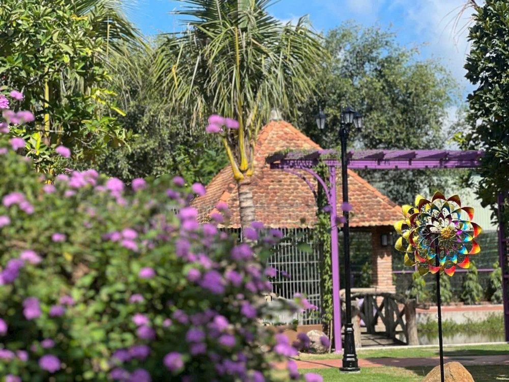 Nhà Vườn Màu Tím – Bình Mỹ, Củ Chi – Không Gian Sống Lý Tưởng