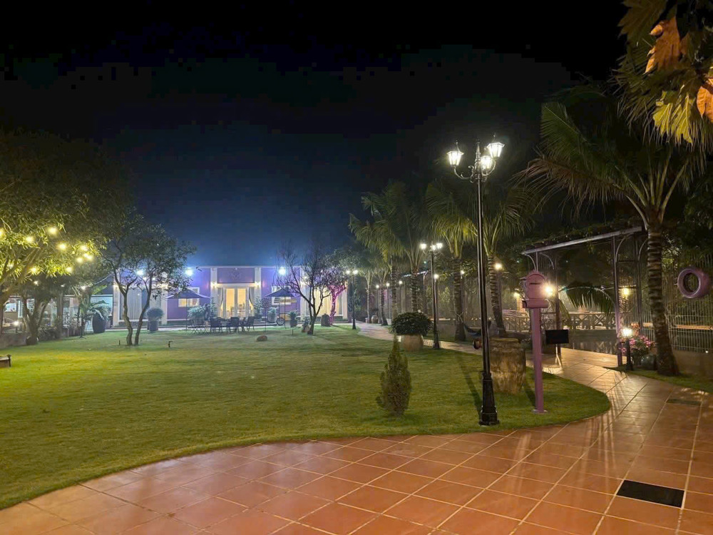 Bình Mỹ – “Nhà Vườn Màu Tím” 3.000M² Ngộp Ngân Hàng – Giảm Sốc 2 Tỷ