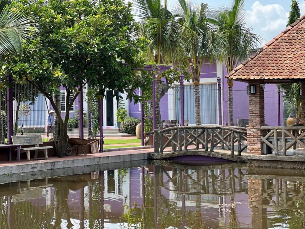 Bình Mỹ – “Nhà Vườn Màu Tím” 3.000M² Ngộp Ngân Hàng – Giảm Sốc 2 Tỷ
