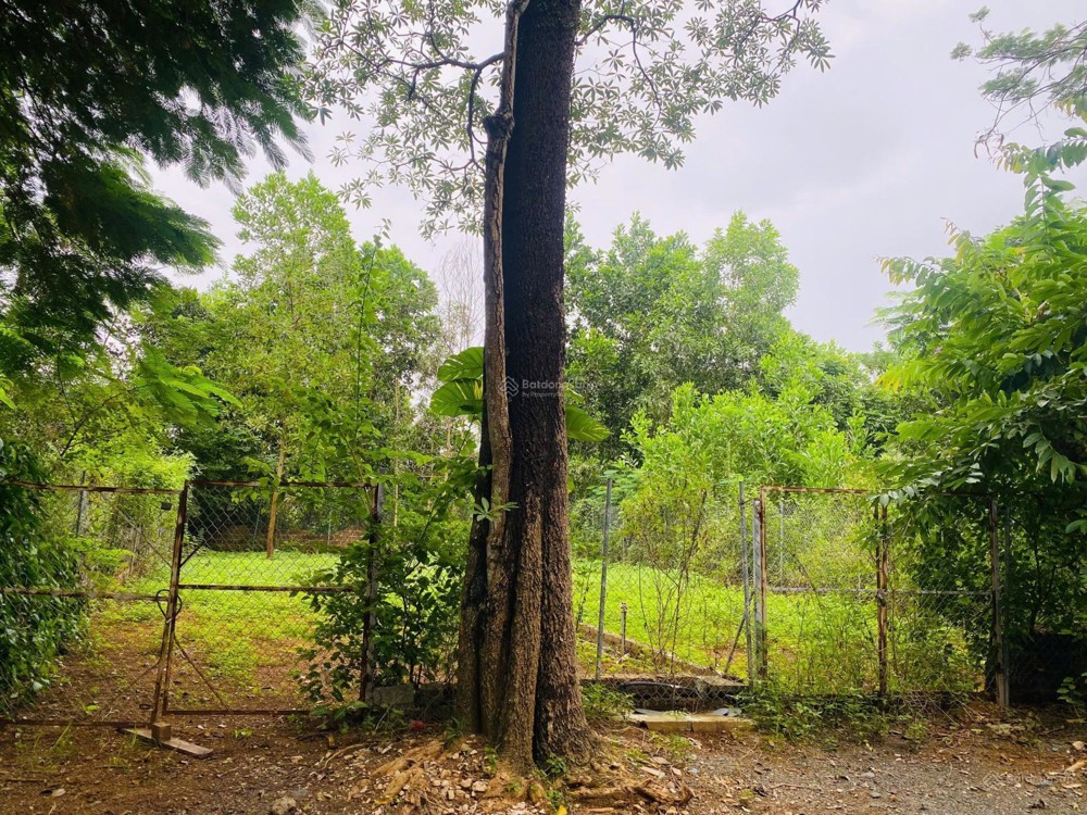 Chính Chủ Bán Đất Hòa Lạc, Quốc Oai 116M², Ngã 3, Sát Đường To Xe Buýt, Gần Metro 5 Vừa Khởi Công