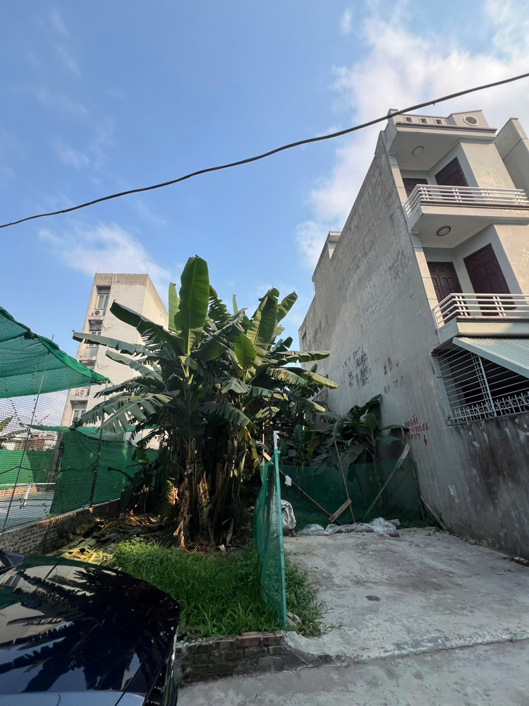 Siêu Phẩm Đầu Tư – Giá Tốt Nhất Khu Vực Đường Bùi Thị Tự Nhiên Khu Phân Lô Đông Hải 1